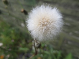 E902F988-C444-451D-916E-396853BDC86B/L0/001