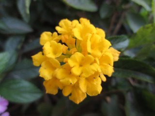 81B60418-9072-4602-996D-37F530B35A8D/L0/001