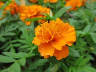 78F63FB0-034F-4D7C-895F-CF5F469FAEA0/L0/001
