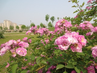 143D398C-B473-4584-AC00-68BB6D6D78B0/L0/001