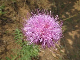 9CAD3B0C-C314-4506-B78F-5C14C10196ED/L0/001