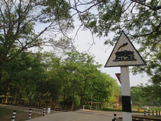 9FB7CB22-BCD7-4139-8B6D-3B18602CB95F/L0/001