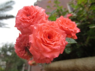 80C79414-11A4-41CA-8D4F-F48AB0FF7686/L0/001