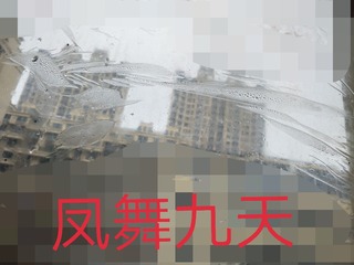 693807