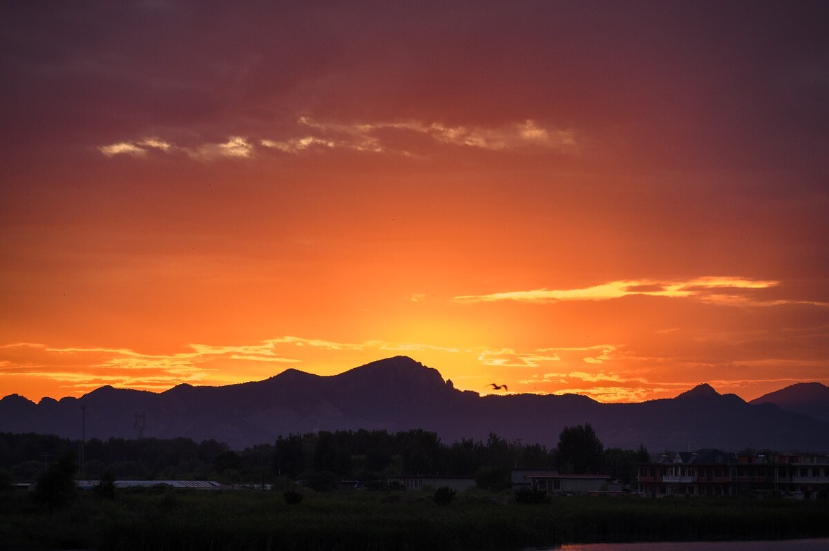 20110402-_DSC0020<br />