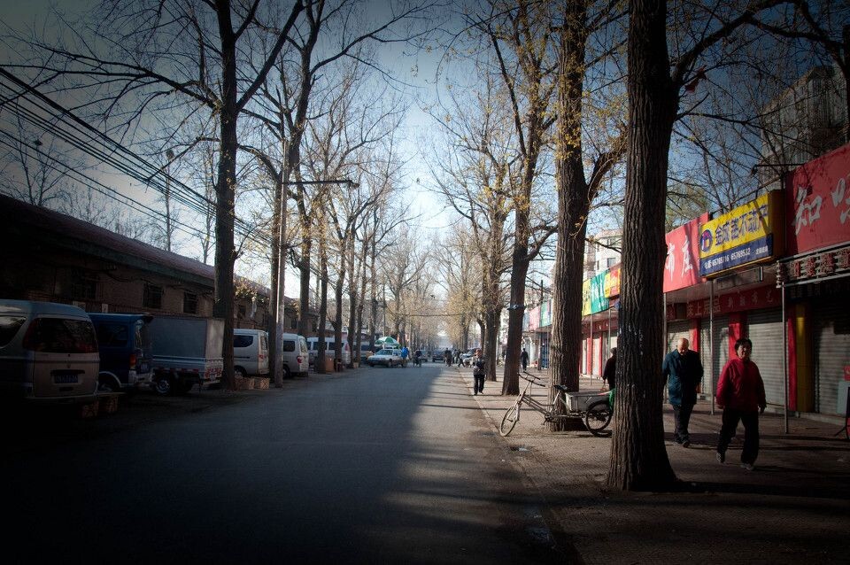 20110402-_DSC0031<br />