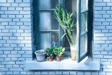 _DSC0217