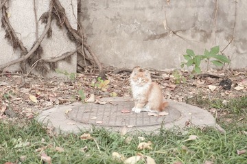 _DSC0182