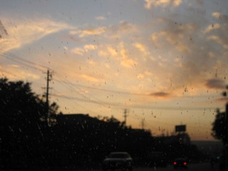 IMG_8557.JPG