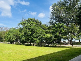 DC7591A0-7108-4053-85D1-3F0513DA8EAA/L0/001