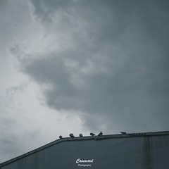 122302