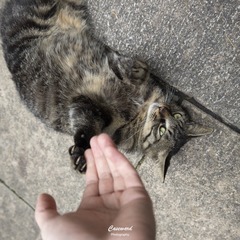 120623