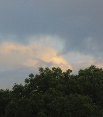 673ABC0D-C2FE-45A4-8413-D102C915C208/L0/001