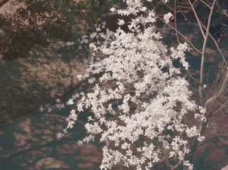 74C911AE-F8C4-41FA-AB77-3D68BC83E7F5/L0/001