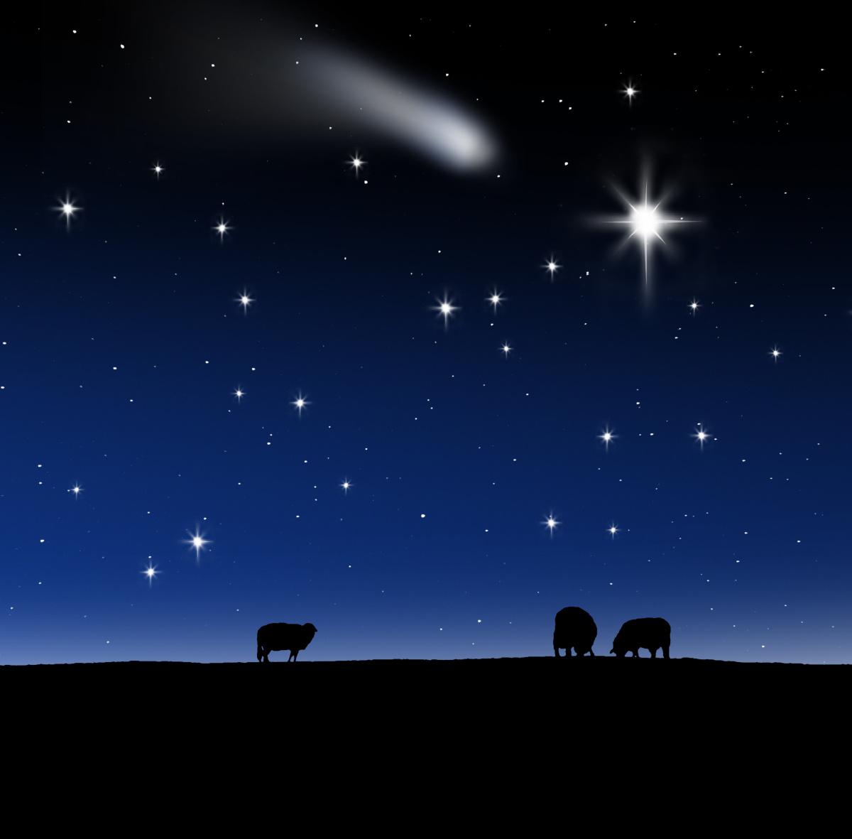 摄于2008年,上海,foto by:蓝色阿威.