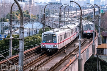 DSC_6392-ps