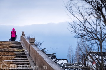 DSC_4772-ps