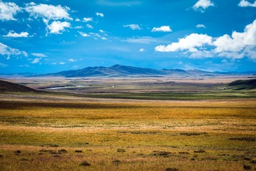DSC_6218-1