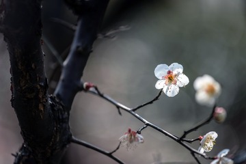 DSC_2056-ps
