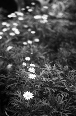 L1000344X