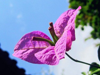 IMG_3522_副本.jpg