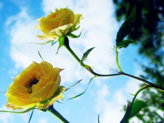 IMG_3530_副本.jpg