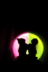 熊熊2.jpg