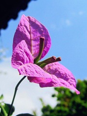 IMG_3522_副本.jpg