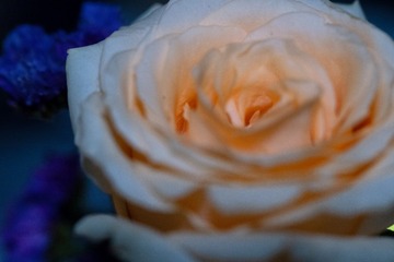 BE4E9CA4-0759-40F4-B46C-9106190223BB/L0/001
