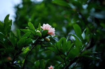 DSC_1051