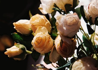 A05022E9-6D5E-49FF-84A1-2117198CAE08/L0/001
