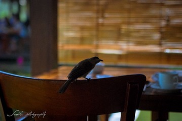 DSC_0022.jpg