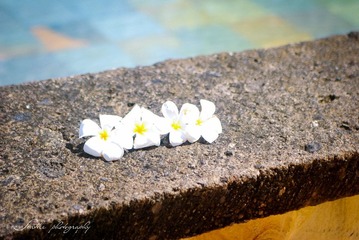 DSC_0036.jpg