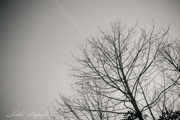 DSC_8188-2.jpg