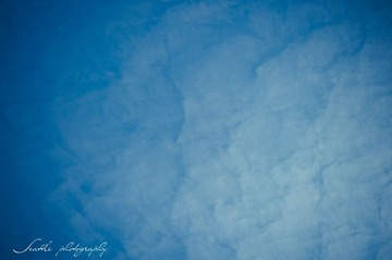 DSC_8139.jpg