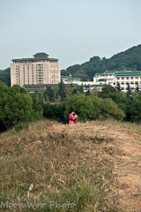 995.jpg