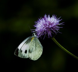 04