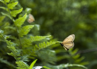 09