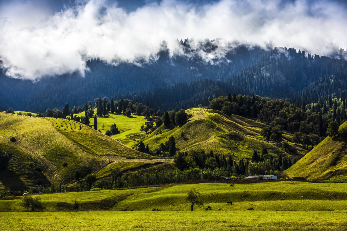 那拉提空中草原6