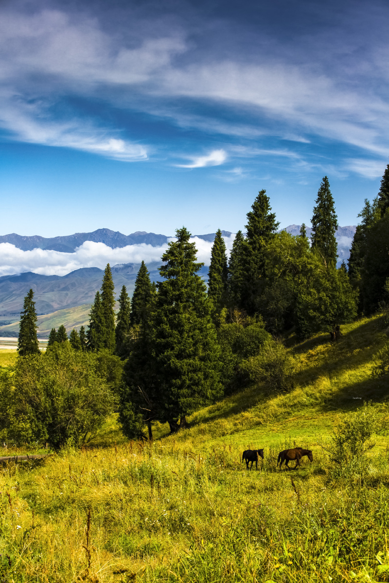 那拉提空中草原(3)
