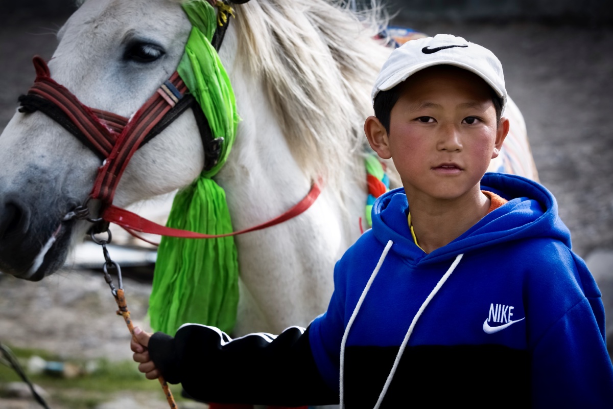 青海纪行(15)牵马的少年