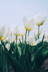 0AB600F9-D292-4F86-B634-B6390CDC7E70/L0/001