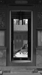 IMG_2017-2