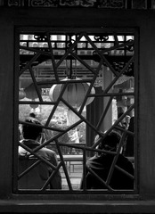 IMG_1988-2