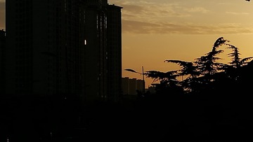 1315231