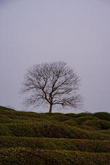 1000055777