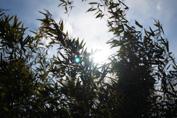 BBEF6A0C-7A28-43B3-A361-2F9574B9F7A6/L0/001