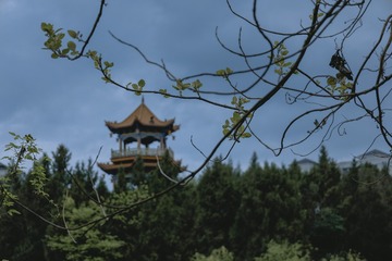 23A7343B-C4AD-4144-98E9-3E889B0243D9/L0/001