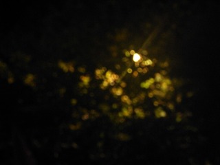 A47D2183-AA48-447B-B090-2C9A4CD6EC6E/L0/001