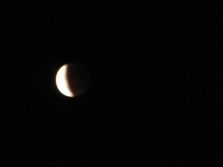 3C0E77ED-AD34-4322-B46B-9D1FFCA8F2DF/L0/001